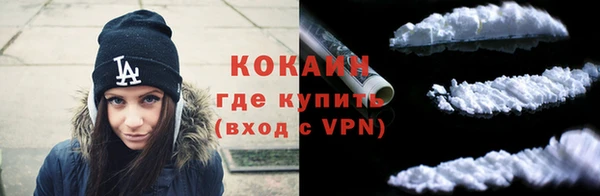 мяу мяу мука Невель