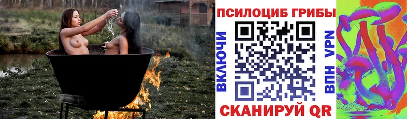 Галлюциногенные грибы Psilocybe Судогда
