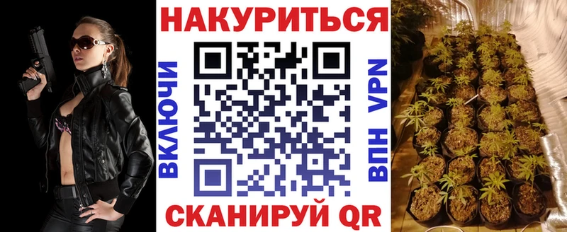наркошоп  Судогда  Марихуана SATIVA & INDICA 